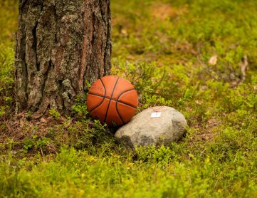 Volejbola, basketbola un futbola bumba