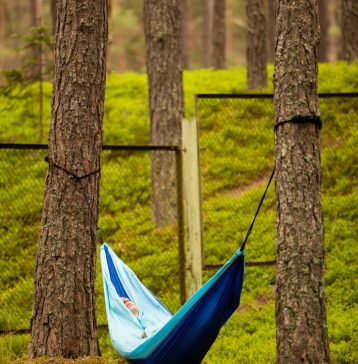 Hammock